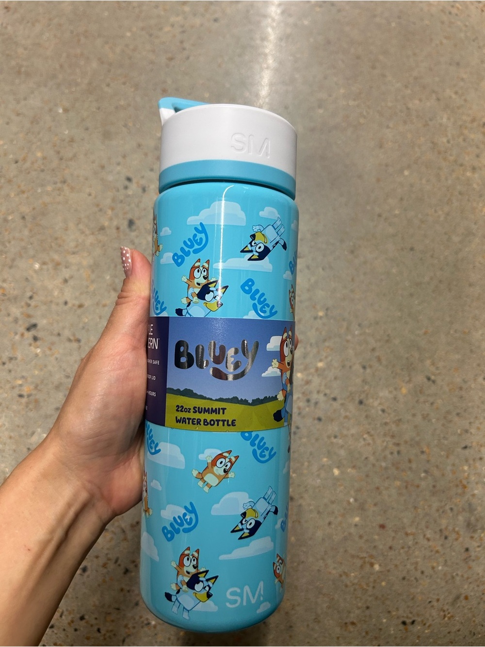 Licensed Bluey 22oz stainless steel insulated Summit Water Bottle